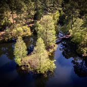 Caldwell Sanctuary