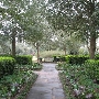 Bellingrath Gardens- Pathways