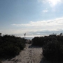 Dauphin Island Bird Sanctuary-Beach