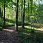 Alabama Wildlife Federation Paths
