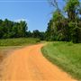 Riverview Farm Dirt Road