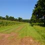 Riverview Farm- July 2018