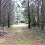 University of West Alabama Nature Trail Head