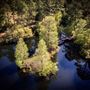 Caldwell Sanctuary