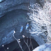 North Alabama Caves