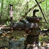 Ruffner Mountain: Water Spring
