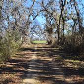 Riverview Farm- Dirt Road through Fields
