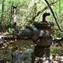 Ruffner Mountain: Water Spring