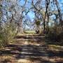 Riverview Farm- Dirt Road through Fields