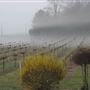 Wills Creek Winery