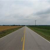 Roadside  Wheatfields-Madison