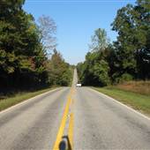 Hwy.22- Verbena