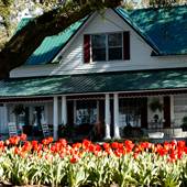 Fairhope Homes