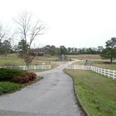 Ventana Farm
