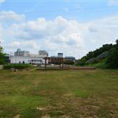 Eat South Farm