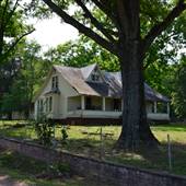 Old York Farms