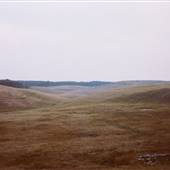 Re-Claimed Surface Mines