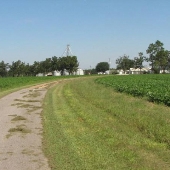 Lazy M Farms