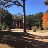 Dowdy Property