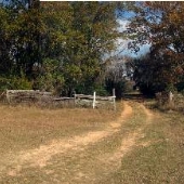 RiverviewFarm-Dirt Road