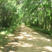 Streety Road