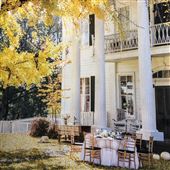 The Mitchell House
