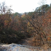 Camp ToKnowHim- Creekbed