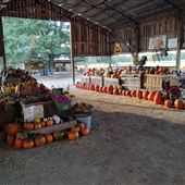 McGee Farm