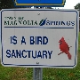 Magnolia Springs