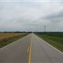 Roadside  Wheatfields-Madison