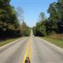 Hwy.22- Verbena