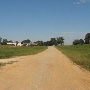 Wiggins Farm