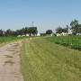 Lazy M Farms
