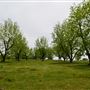 Meadowview Farms-Pecan Grove