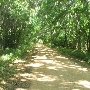 Streety Road