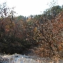Camp ToKnowHim- Creekbed