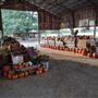 McGee Farm