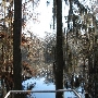 Perry Lakes- Boardwalk/Tower