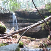 Bankhead National Forest-Sipsey Wilderness