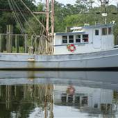 Bayou la Batre- Boats