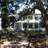 Swift Cole Home