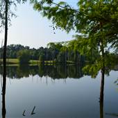Jackson Lake/Spectre Island-August 2014