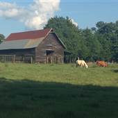 Bradford Barn