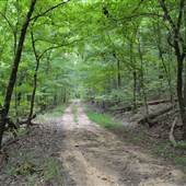 Oak Mountain State Park: Overlook Trails