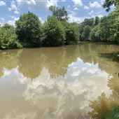The Ross Farm