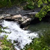 Congo Nature Preserve