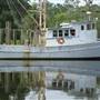 Bayou la Batre- Boats
