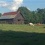 Bradford Barn