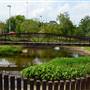 Homewood Central Park