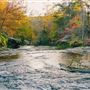 Near Little River Canyon